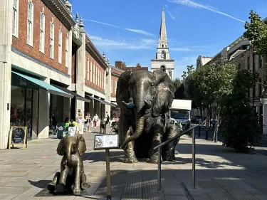 Must not miss the elephant statue near to Spitalfields Market | Trip.com  London