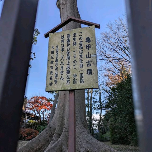 Tamagawadai Park (多摩川台公園)