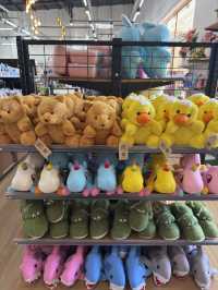 ร้านของฝากสุดน่ารัก ย่านโคกกลอย 