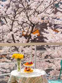 Best Spring Cafés in Seoul🌸 ☕️