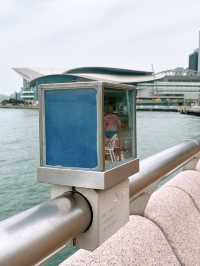 🎏維港附近發現🇭🇰有多個不明屋仔⁉️