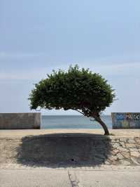 Phu Quy Island: Vietnam’s Hidden Paradise