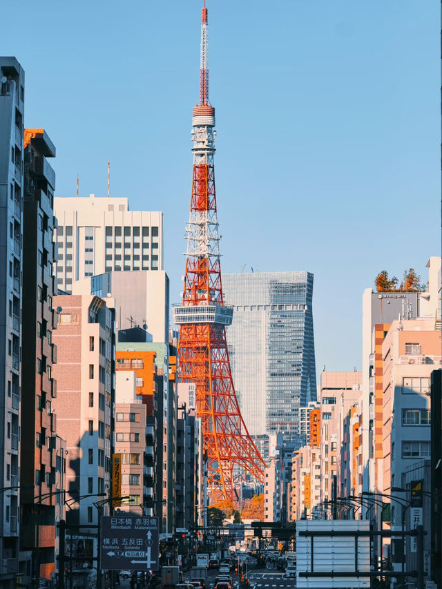 東京：世界第二、アジア第一の大都市へようこそ