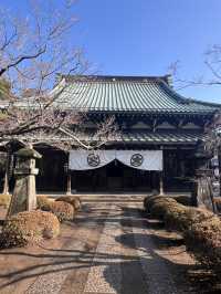東京豪德寺 