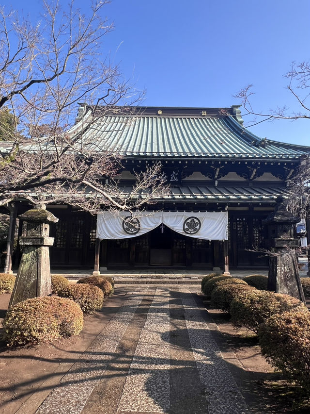 東京豪德寺 