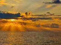 Akoya Pearl Sailing Cruise: A Luxurious Ocean Escape