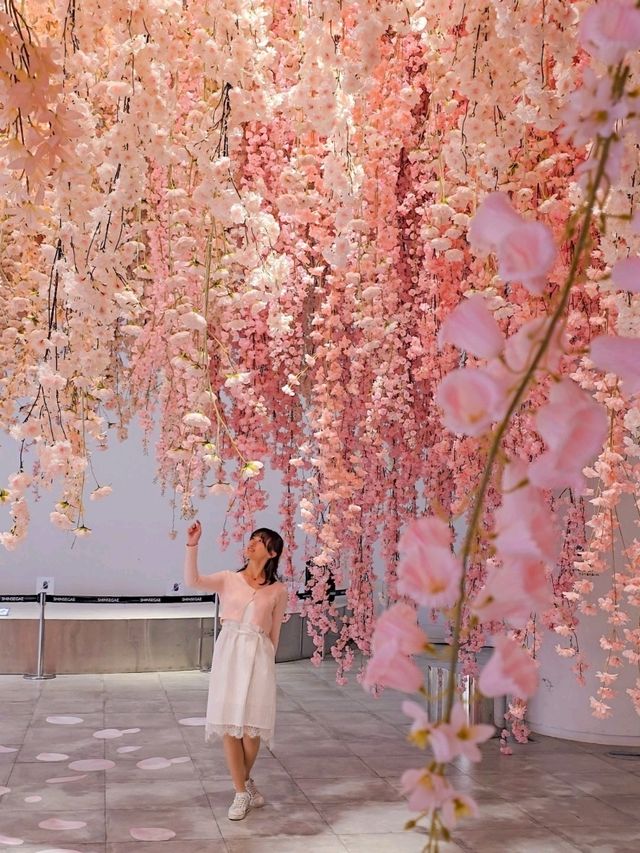 130만송이의 벚꽃이 쏟아지는 무료 전시🌸