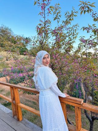 Chasing cherry blossom at Doi Inthanon 🌸