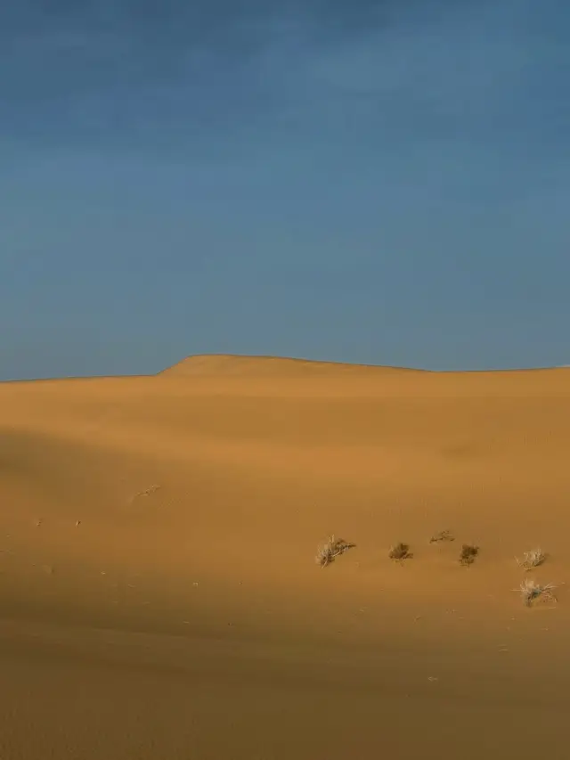 🏜️ Ningxia Slow Travel | Budget-Friendly Silver Linings 🏮