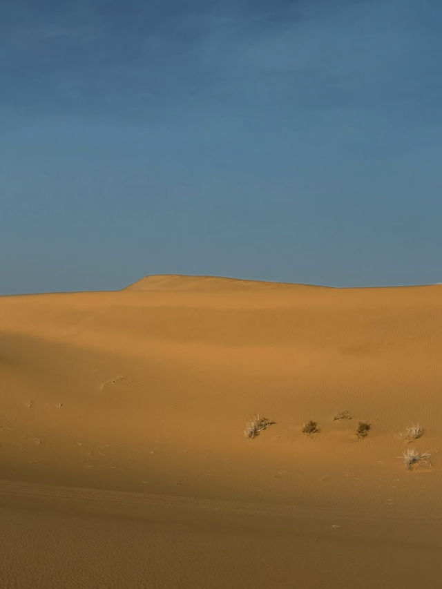 🏜️ Ningxia Slow Travel | Budget-Friendly Silver Linings 🏮