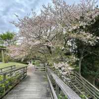 西公園