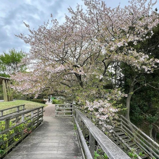 西公園
