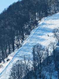 เล่นสกี ที่ Gala Yuzawa 