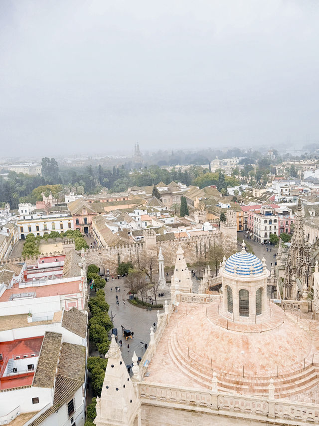 세비야에 간다면 꼭 가봐야하는 이곳🇪🇸