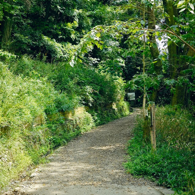 米之山展望台·壯麗景色
