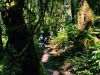 泰國清邁著名茵他農國家公園景點：Kew Mae Pan Viewpoint，美麗的雲海，適合休閒徒步打卡拍照📸