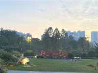 Wandering Through Stillness: A Solo Day at the Chinese and Japanese Gardens in Singapore