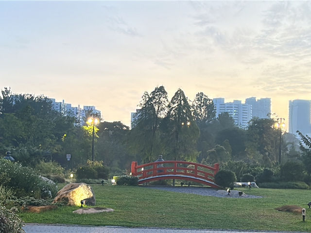 Wandering Through Stillness: A Solo Day at the Chinese and Japanese Gardens in Singapore