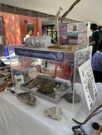 งานเทศกาลซากดึกดำบรรพ ครั้งที่2 จ.พัทลุง 