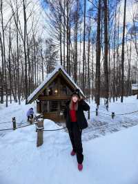 Sapporo 6 Days Itinerary 