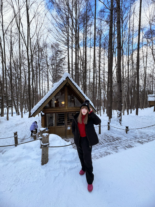 Sapporo 6 Days Itinerary 