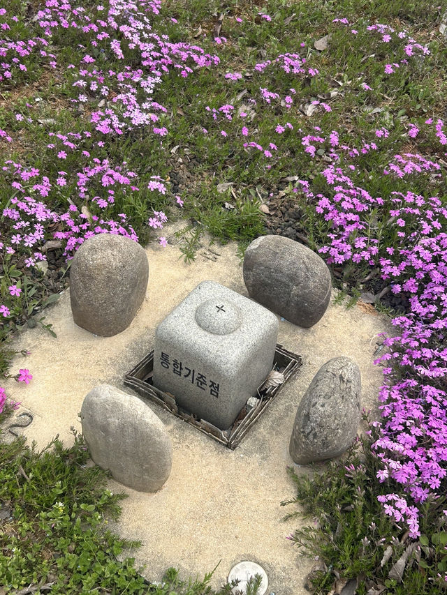 도심에서 만나는 벚꽃 명소, 오송생명호수공원 벚꽃길🌸🤍