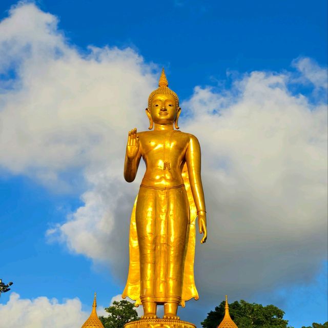 Tranquility at the Summit: The Sleeping Buddha and Sunset Point