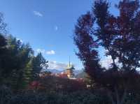【高台寺の紅葉🍁】