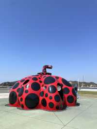 瀨戶內海 直島