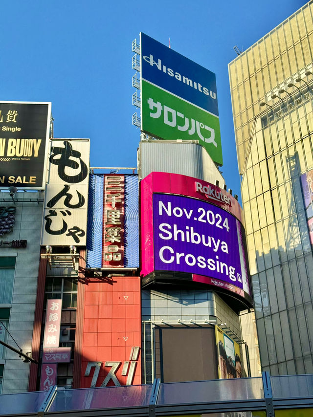 🇯🇵일본 방문 추천 시기 & 비추천 시기, 언제 떠날까?