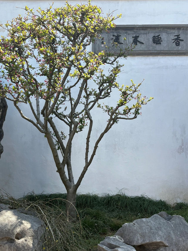 A Spring Stroll Through Master-of-Nets Garden