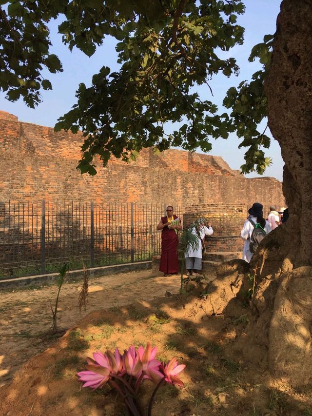 🇮🇳 世上第一所大學+祇園精舍