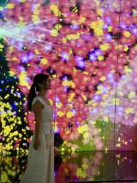 【東京】美しいアート×光の世界