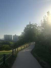 드넓은 초록이 반겨주는 올림픽공원🌳🛼