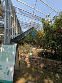 Taipei Botanical Garden
