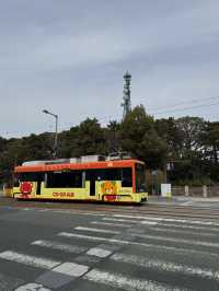 🚋 마쓰야마 교통편 정리, 똑똑하게 이동하세요!