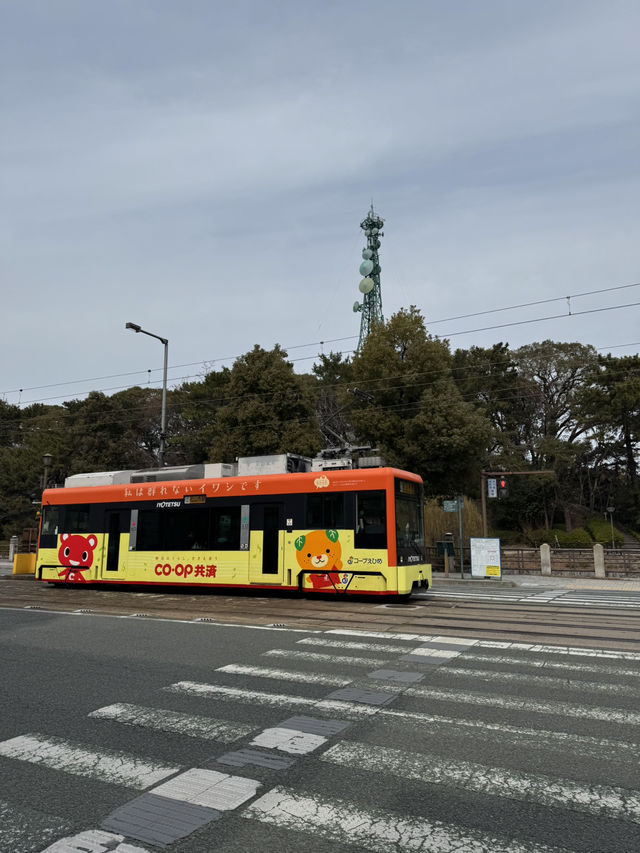 🚋 마쓰야마 교통편 정리, 똑똑하게 이동하세요!