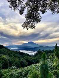 Review of Kokol Hill, Kota Kinabalu