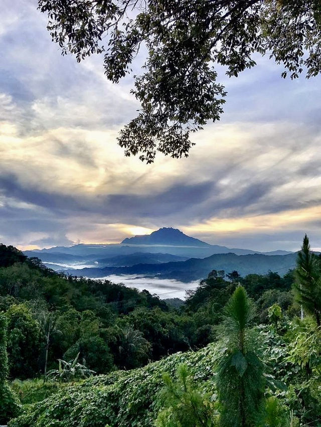 Review of Kokol Hill, Kota Kinabalu
