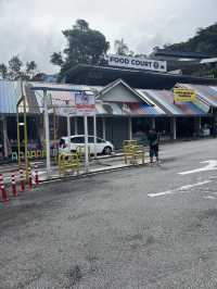 Delightful destination in Cameron Highlands
