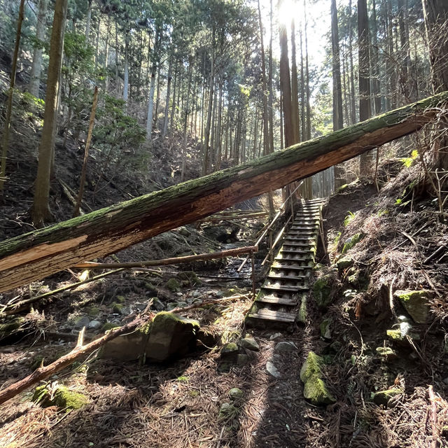 【錫杖ヶ岳】⛰️ 東海の百山