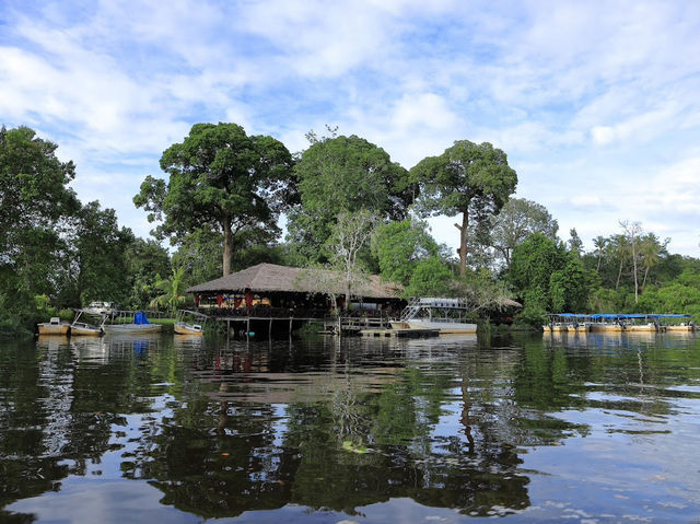 🌿 Klias Wetland Adventures: Fireflies, Proboscis Monkeys & Muddy Mischief! 🐒