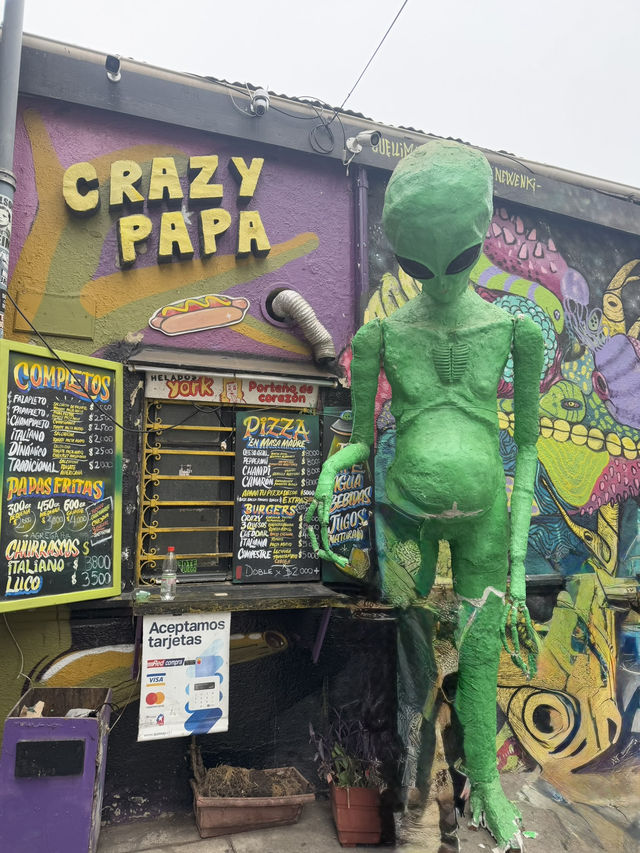智利Valparaiso 一日遊