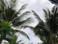 나트랑 Cam Ranh Riviera Beach Resort & Spa