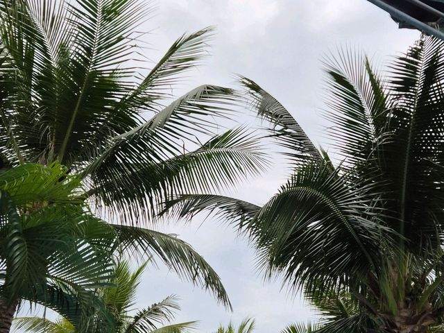 나트랑 Cam Ranh Riviera Beach Resort & Spa