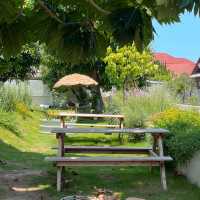 คาเฟ่มู้ดเกาหลีที่สระบุรี 🎀🪟