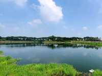 #紫籐湖-雲林縣斗六市