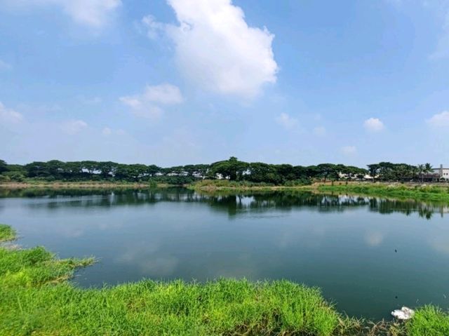 #紫籐湖-雲林縣斗六市