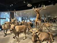 ชวนเที่ยว Shanghai natural history museum
