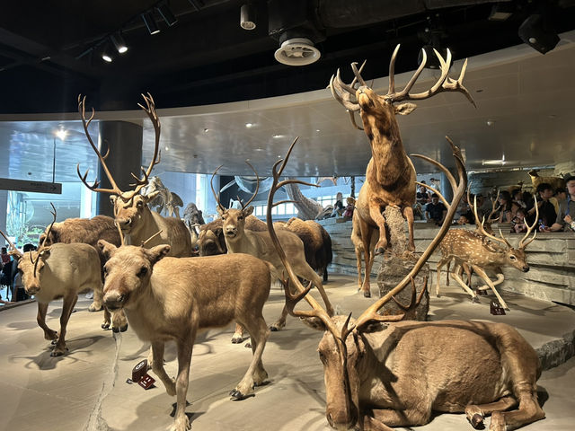 ชวนเที่ยว Shanghai natural history museum